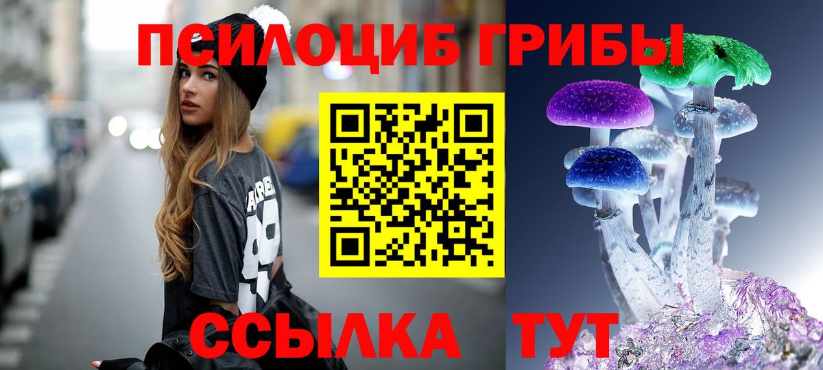Псилоцибиновые грибы прущие грибы  Вход с VPN  купить наркоту  Сергиев Посад 
